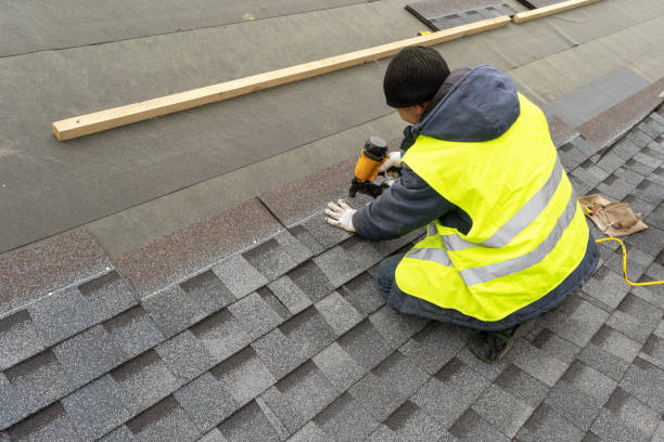 Best Storm Damage Roof Repair  in Holt, MI