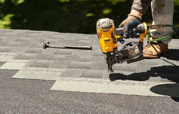 Roof Gutter Cleaning in Holt, MI