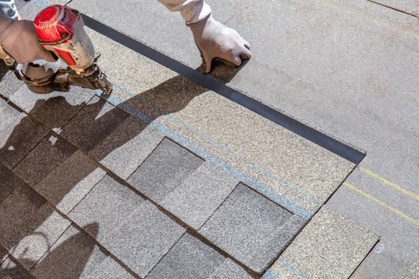 Best Local Roofing Companies  in Holt, MI