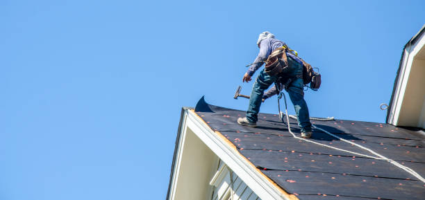 Best Roof Gutter Cleaning  in Holt, MI